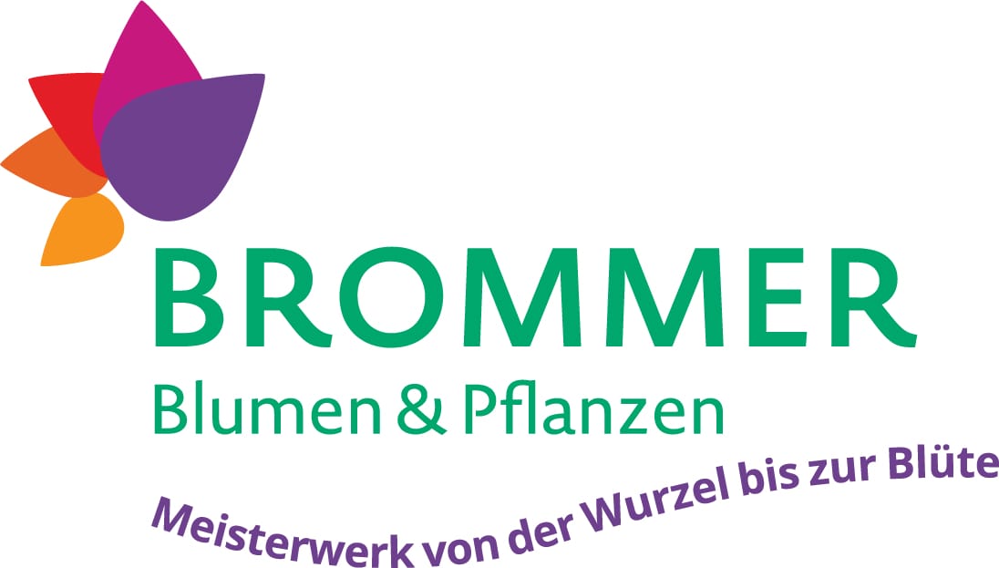 brommer_violett